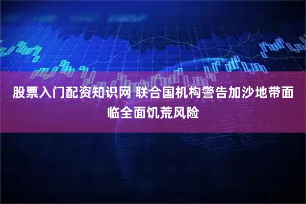 股票入门配资知识网 联合国机构警告加沙地带面临全面饥荒风险