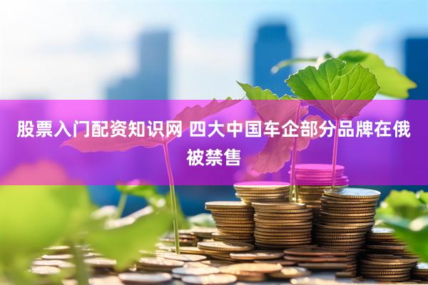 股票入门配资知识网 四大中国车企部分品牌在俄被禁售